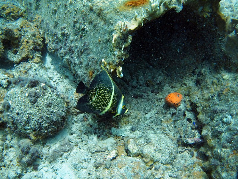 Curacao 04-12 224.JPG